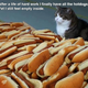 I know how this cat feels